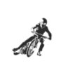 Speedway Bike 2c