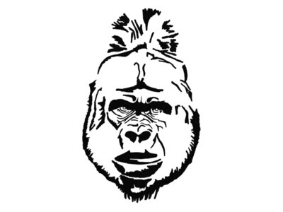 Gorilla