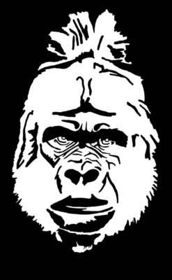 Gorilla white