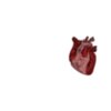 heart love will mind