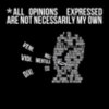 opinions 2
